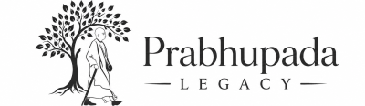 system logo